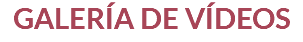 GALERÍA DE VÍDEOS